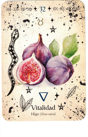 ORACULO DE LA BRUJA VERDE (LIBRO Y CARTAS)