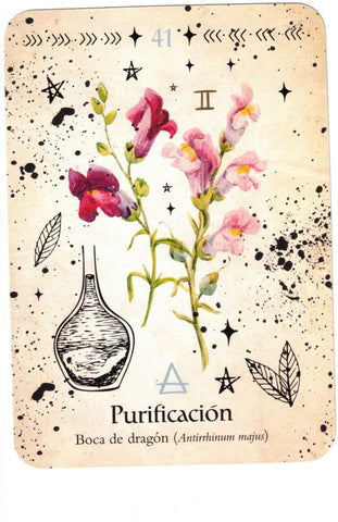 ORACULO DE LA BRUJA VERDE (LIBRO Y CARTAS)