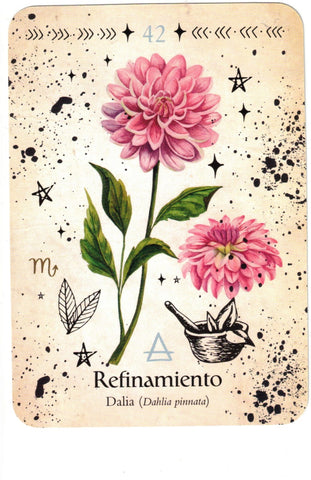 ORACULO DE LA BRUJA VERDE (LIBRO Y CARTAS)