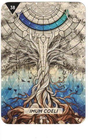 ASTRO ORACULO. LOS CODIGOS ASTROLOGICOS (LIBRO Y CARTAS)