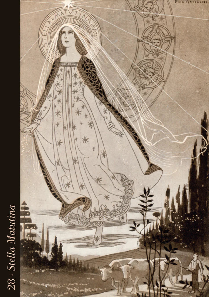 DIVINE LIGHT ORACLE CARDS