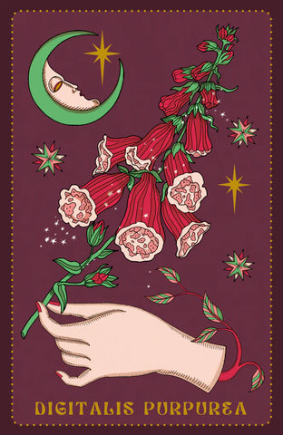 HERBARIUM ORACLE CARDS (ESPAÑOL - MULTI )