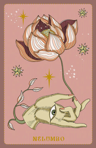 HERBARIUM ORACLE CARDS (ESPAÑOL - MULTI )