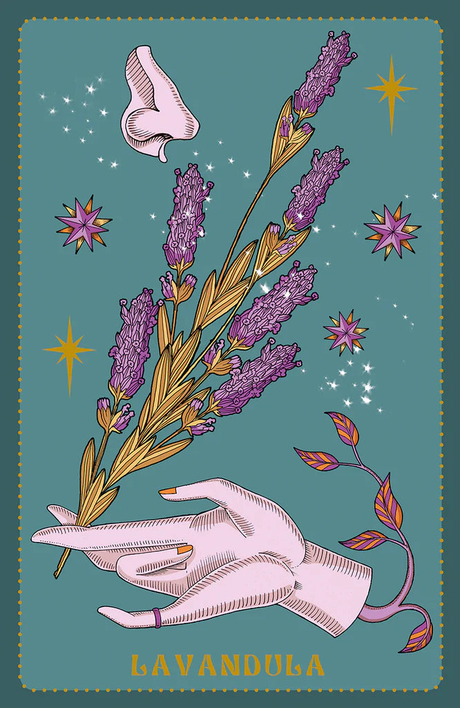 HERBARIUM ORACLE CARDS (ESPAÑOL - MULTI )