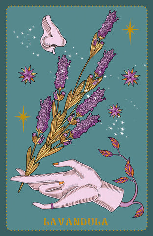 HERBARIUM ORACLE CARDS (ESPAÑOL - MULTI )