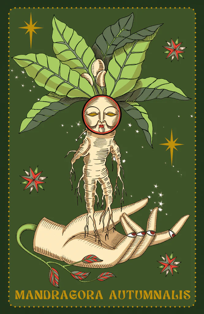 HERBARIUM ORACLE CARDS (ESPAÑOL - MULTI )