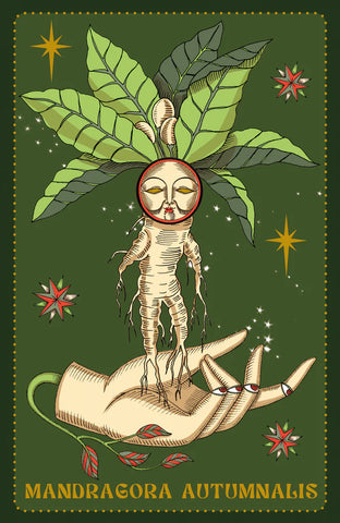 HERBARIUM ORACLE CARDS (ESPAÑOL - MULTI )