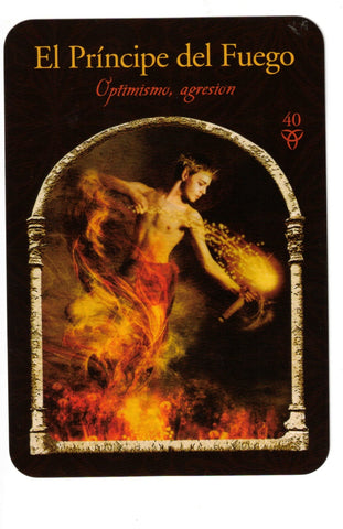 SABIDURIA DE LOS REINOS OCULTOS (LIBRO Y CARTAS)