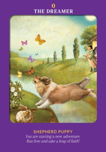 ANIMAL GUIDES TAROT (INGLES)
