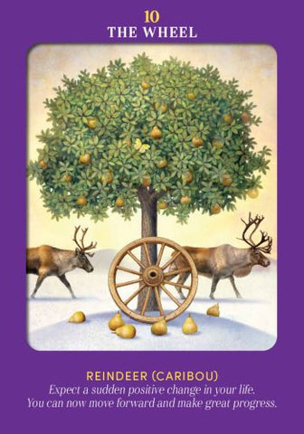 ANIMAL GUIDES TAROT (INGLES)