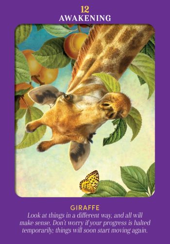 ANIMAL GUIDES TAROT (INGLES)