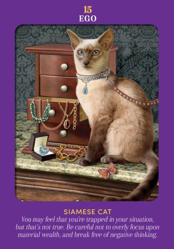 ANIMAL GUIDES TAROT (INGLES)