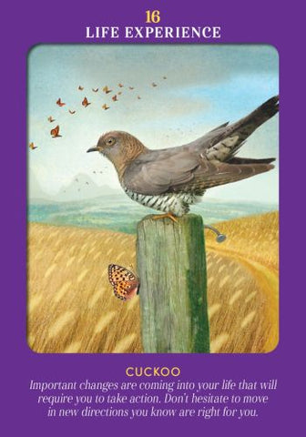 ANIMAL GUIDES TAROT (INGLES)