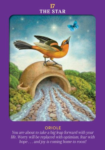 ANIMAL GUIDES TAROT (INGLES)