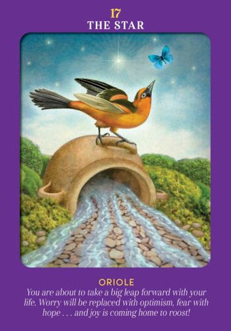 ANIMAL GUIDES TAROT (INGLES)