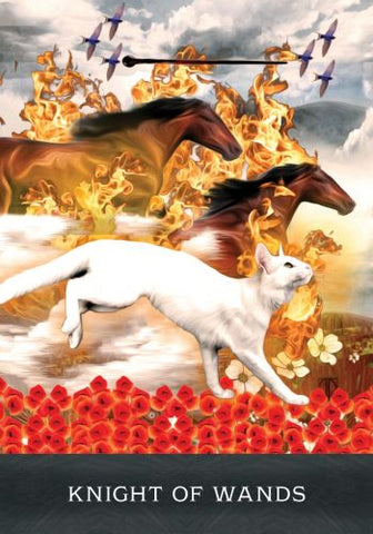 GRIMALKINS CURIOUS CATS TAROT (INGLÉS)