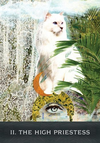 GRIMALKINS CURIOUS CATS TAROT (INGLÉS)