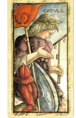 SOLA BUSCA TAROT 1491 ECX (700p) (ITALIANO-INGLES)