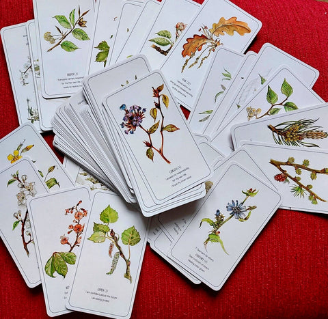 THE HEALING FLOWER COLOR CARD SET (INGLÉS)
