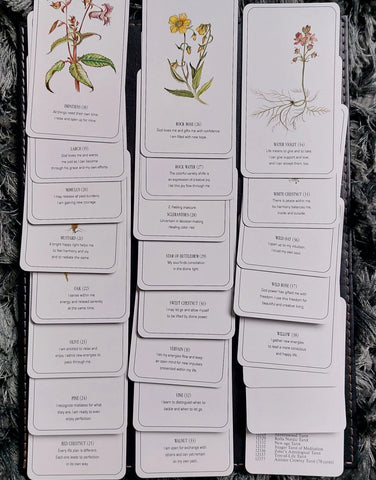 THE HEALING FLOWER COLOR CARD SET (INGLÉS)