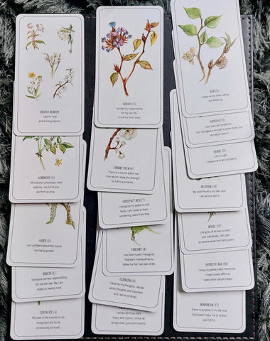 THE HEALING FLOWER COLOR CARD SET (INGLÉS)