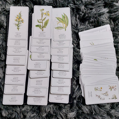 THE HEALING FLOWER COLOR CARD SET (INGLÉS)