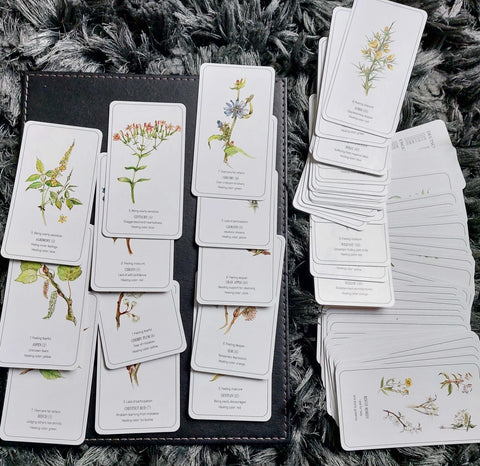 THE HEALING FLOWER COLOR CARD SET (INGLÉS)