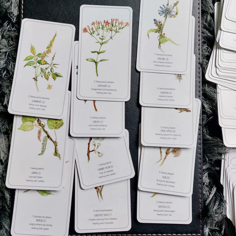 THE HEALING FLOWER COLOR CARD SET (INGLÉS)