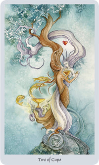 SHADOWSCAPES TAROT SET (INGLES)