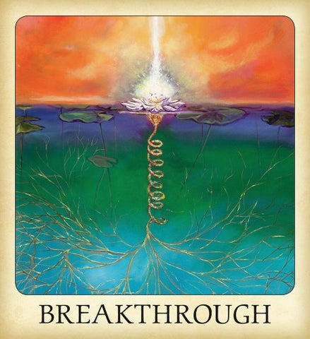 MESSAGES FROM THE LIGHT (INGLES)