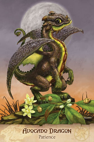 FIELD GUIDE TO GARDEN DRAGONS