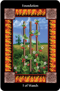 SACRED CIRCLE TAROT DECK, THE (INGLES)