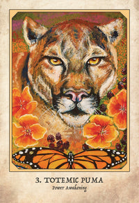 EARTH WARRIORS ORACLE (INGLES)