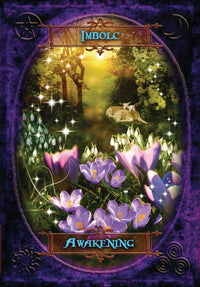 WITCHES' WISDOM ORACLE CARDS (INGLES)