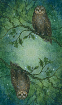 FOREST OF ENCHANTMENT TAROT (INGLES)