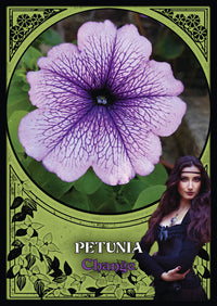 FLOWER MAGIC ORACLE CARDS (INGLES)