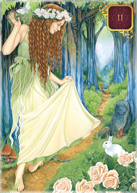 DREAMS OF GAIA TAROT POCKET EDITION (INGLES)