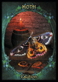 WITCHES' FAMILIARS ORACLE CARDS (INGLES)