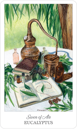 HERBCRAFTER'S TAROT, THE