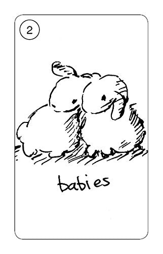 CARROT CARDS (INGLES)