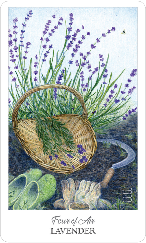 HERBCRAFTER'S TAROT, THE