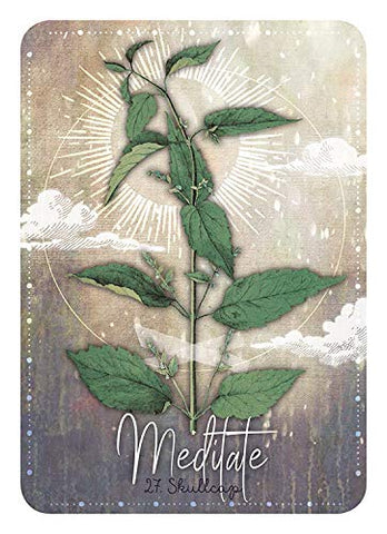 MAGICKAL HERB ORACLE (INGLES)