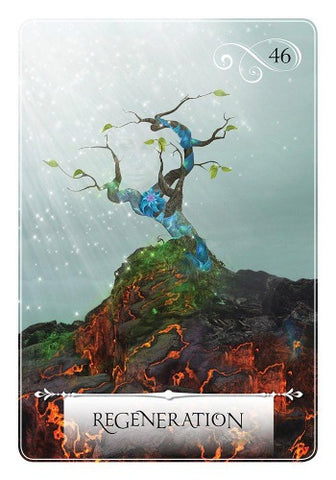 WISDOM OF THE ORACLE POCKET DIVINATION CARDS (INGLES)