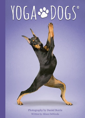 YOGA DOGS SET DECK & BOOK SET (INGLES)