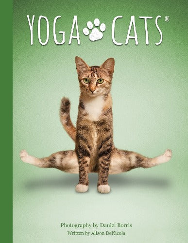 YOGA CATS SET DECK & BOOK SET (INGLES)