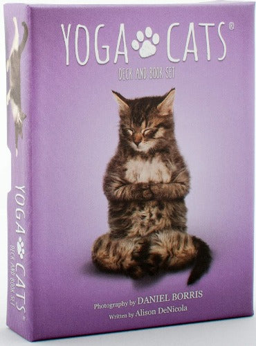 YOGA CATS SET DECK & BOOK SET (INGLES)