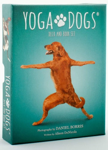 YOGA DOGS SET DECK & BOOK SET (INGLES)