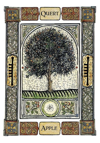 CELTIC TREE ORACLE SET, THE (INGLES)