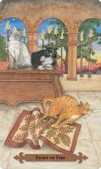 MYSTICAL CATS TAROT (INGLES)
