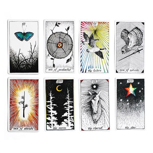 WILD UNKNOWN TAROT DECK AND GUIDEBOOK SET (INGLES)